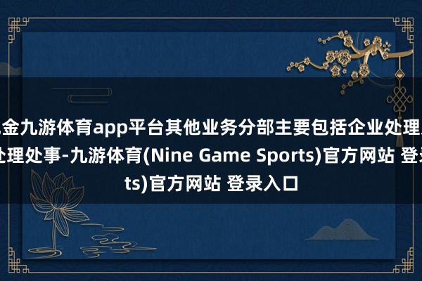 现金九游体育app平台其他业务分部主要包括企业处理及财富处理处事-九游体育(Nine Game Sports)官方网站 登录入口