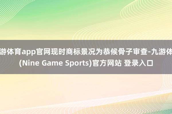 九游体育app官网现时商标景况为恭候骨子审查-九游体育(Nine Game Sports)官方网站 登录入口